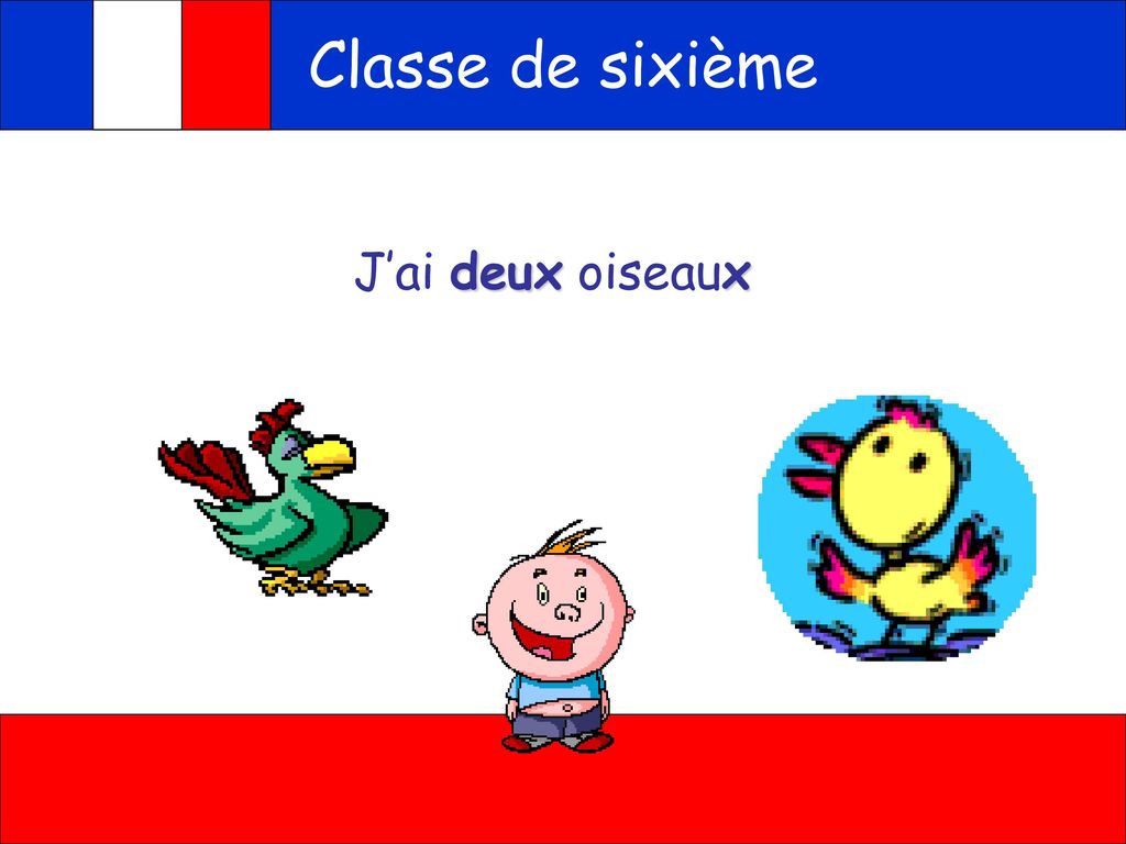 controle classe de sixieme ppt télécharger